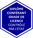 visa Grade de licence