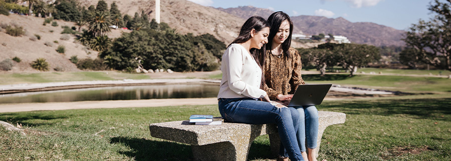 Two students studying on a bench in a park