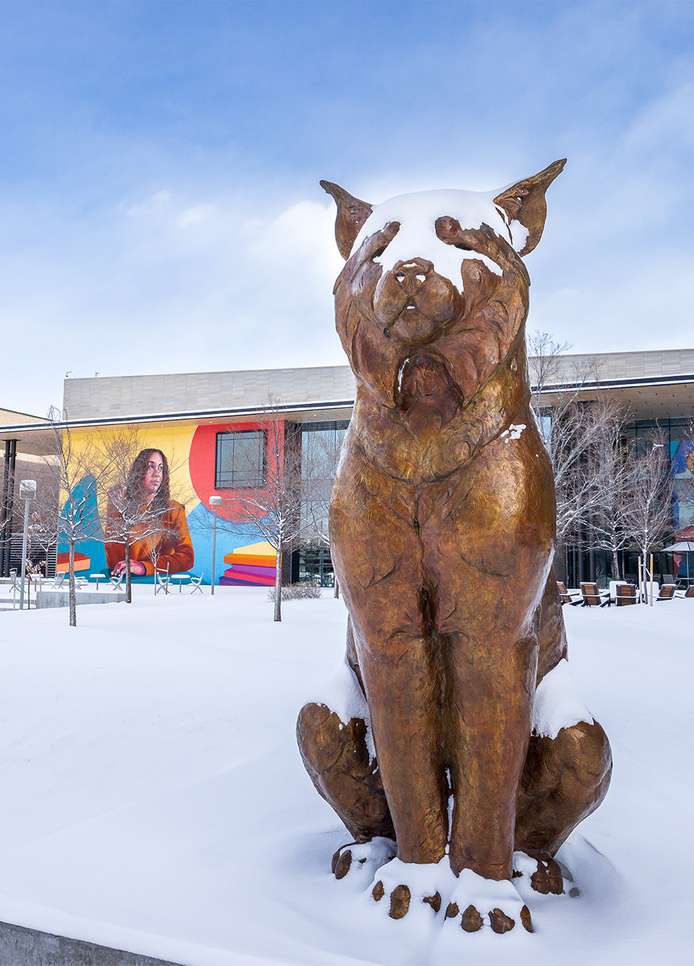 Admitted Students Day 2024 University Of Colorado Denver   5c986a25 Campus2 10ks0qu0ja0qu00q00001o 