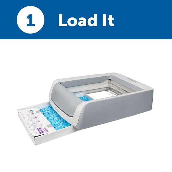 Use a self cleaning litter box to never scoop cat litter again.