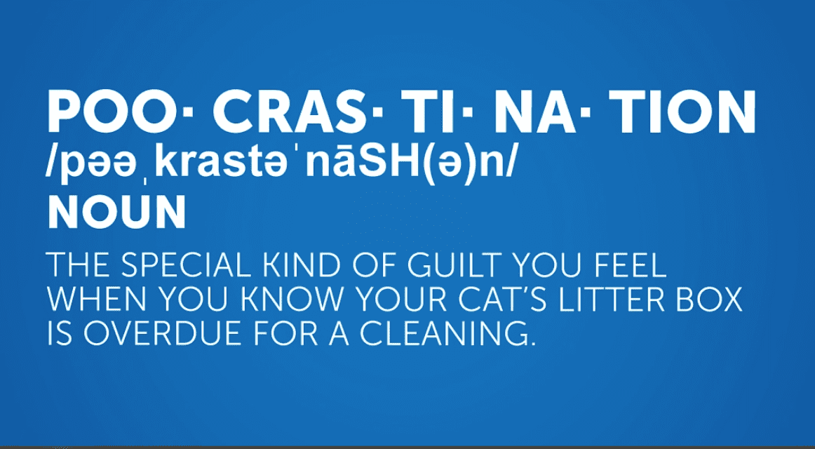 Use a self cleaning litter box to never scoop cat litter again.