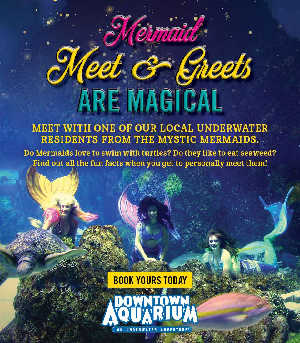 Downtown Aquarium Denver | Events