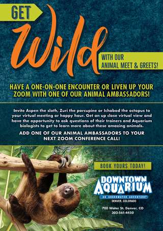 Downtown Aquarium Denver | Events