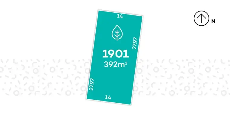 Avid Carolina - Lot 1901