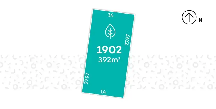 Avid Carolina - Lot 1902