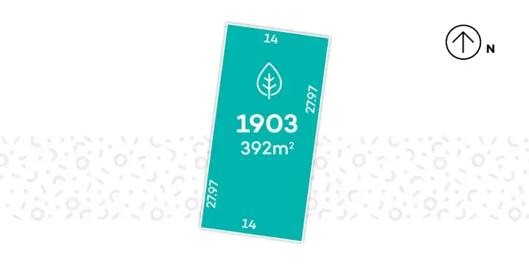 Avid Carolina - Lot 1903