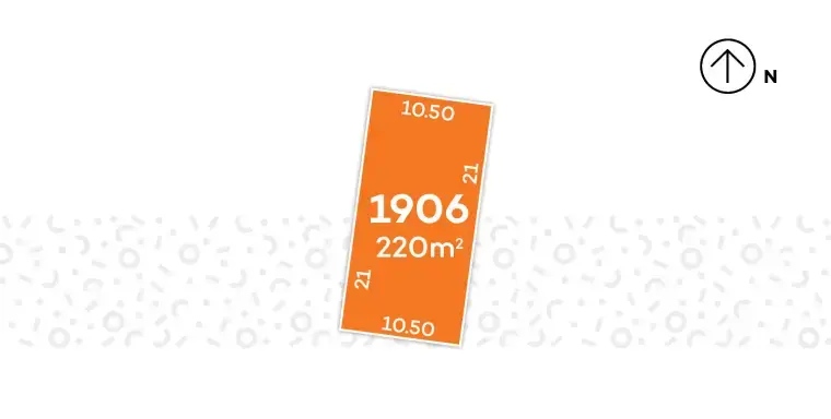 Avid Carolina - Lot 1906