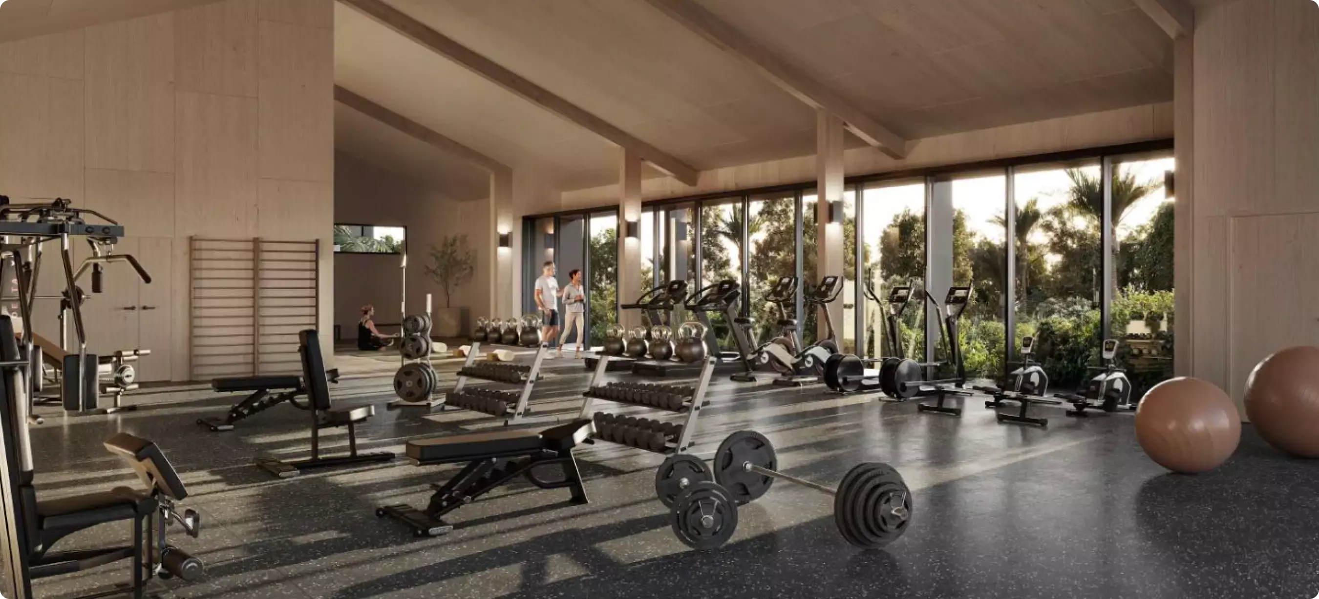 Luxury Homes - Gym
