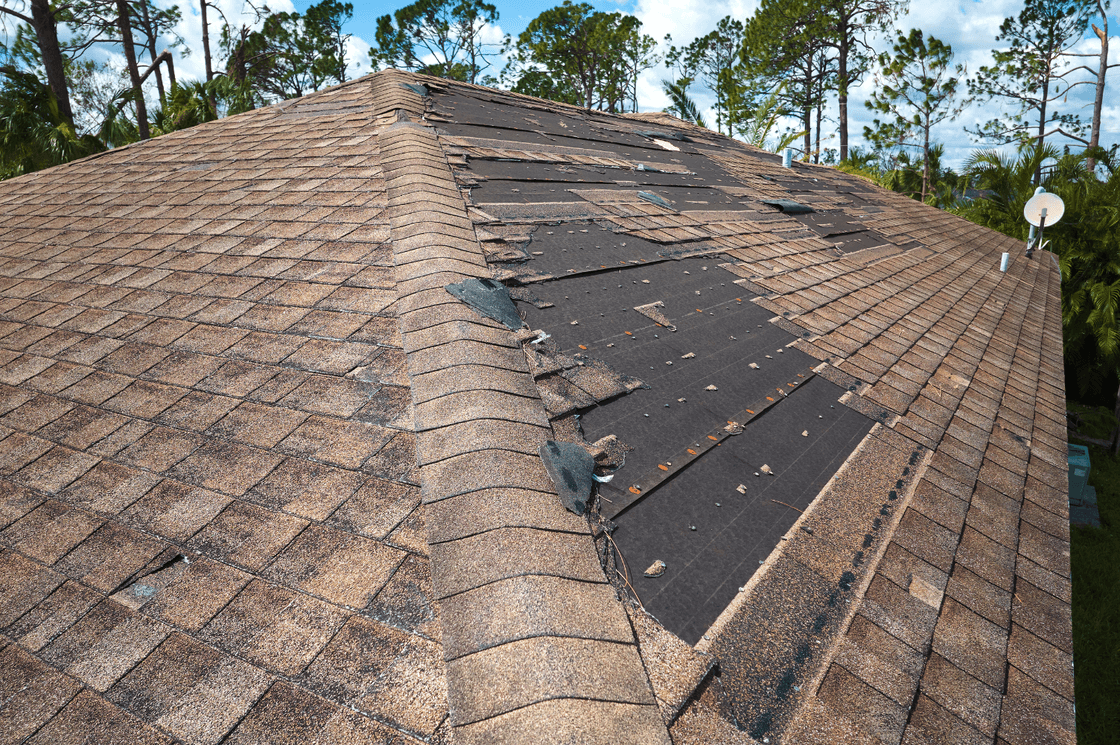 Attic Insulation