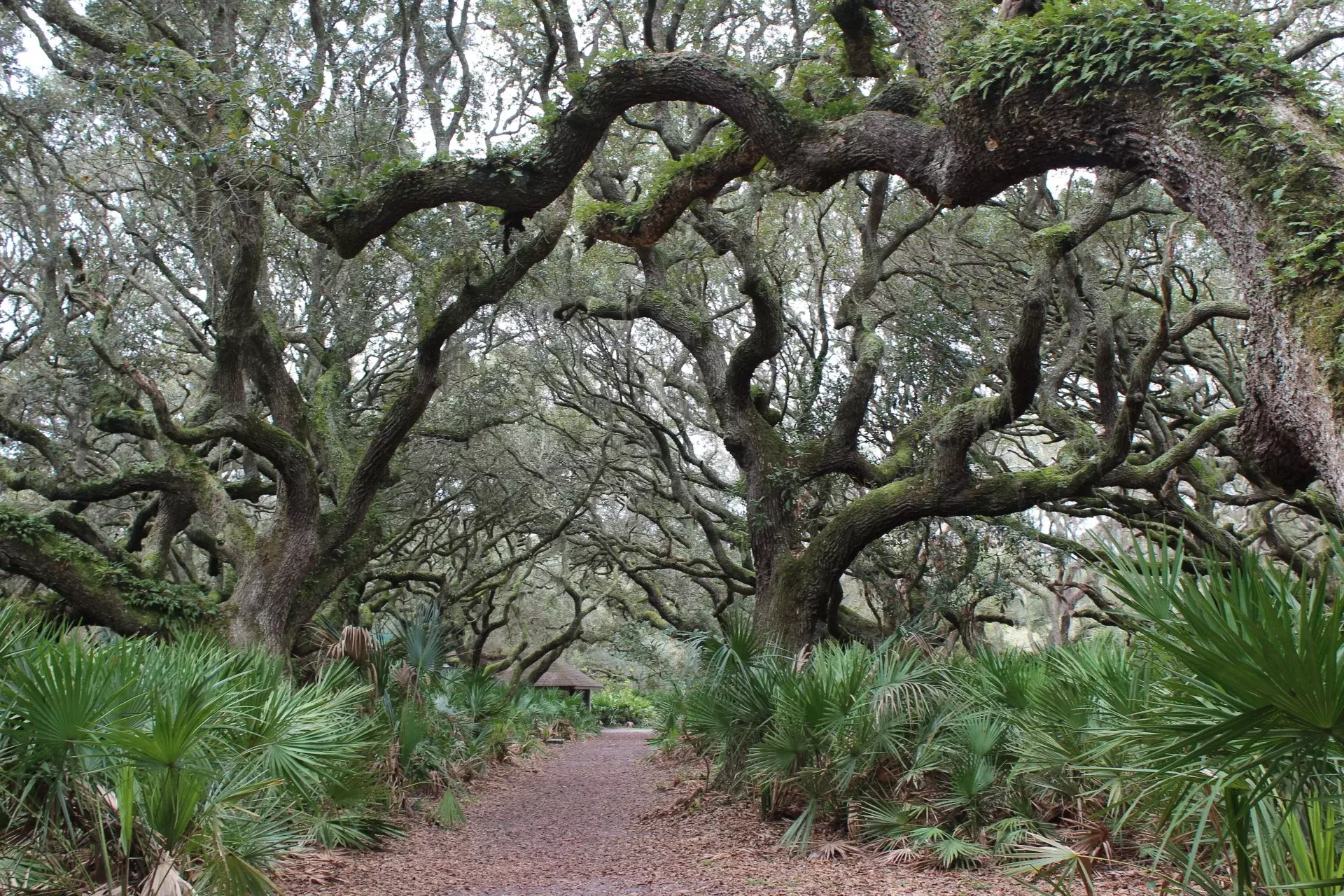 best campsites in the southeast