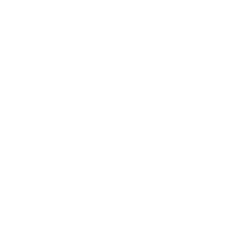 Event Format