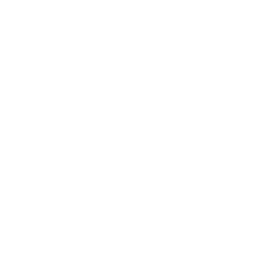 Event Format