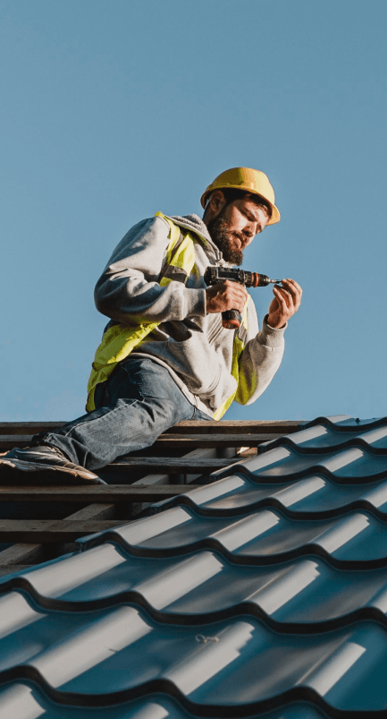 Full-Scale Restoration Projects