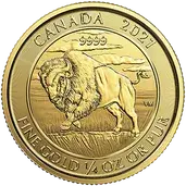 Gold Canadian Buffalo