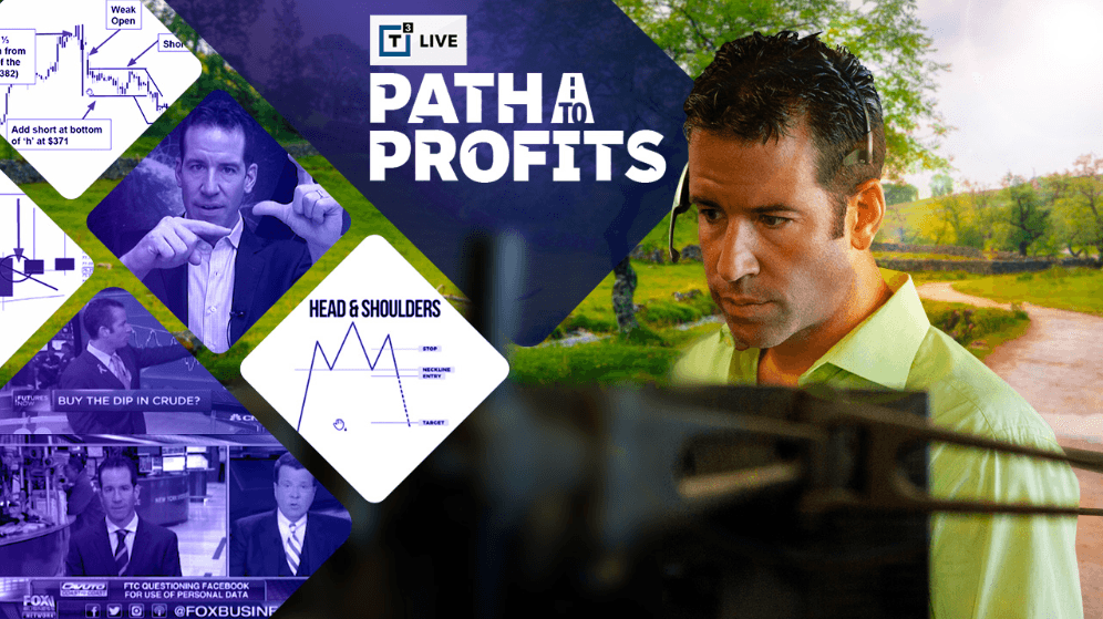 Path to Profits course