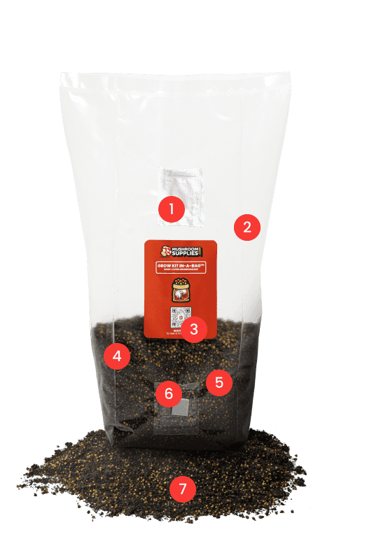 Making Mushrooms Easy™️ Mushroom Supplies