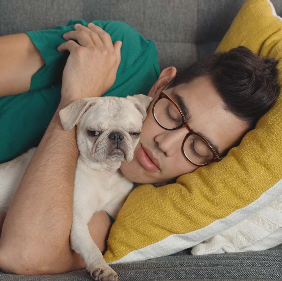 Pet-Friendly Sofas For Sofa-Friendly Pets.