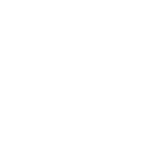 Home Icon