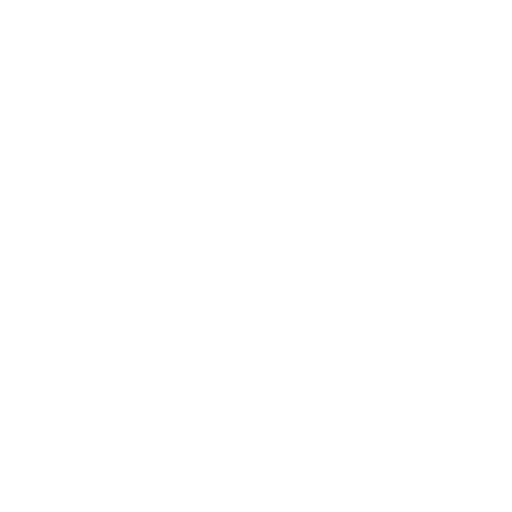 Customer Service