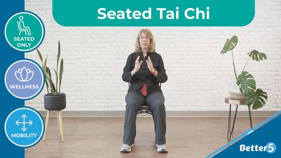 Seated Tai Chi