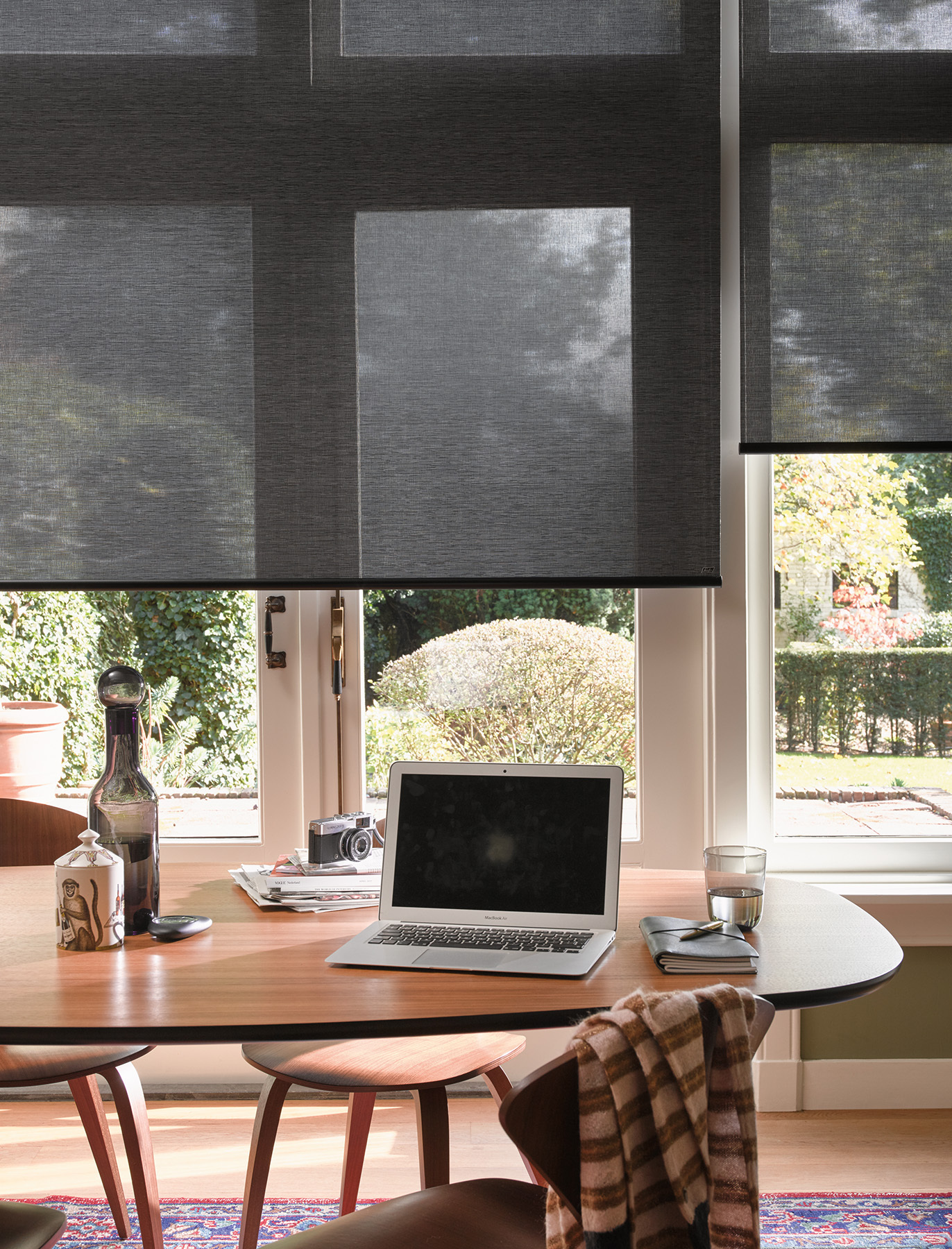 Screen Roller blinds