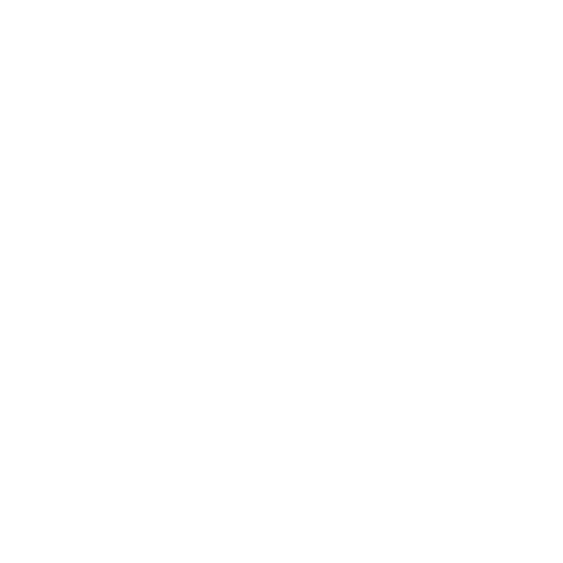 Stopwatch Icon