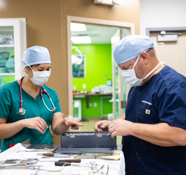 Veterinarian In Kannapolis NC Cabarrus Animal Hospital veterinarian-in-kannapolis-nc-cabarrus-animal-hospital