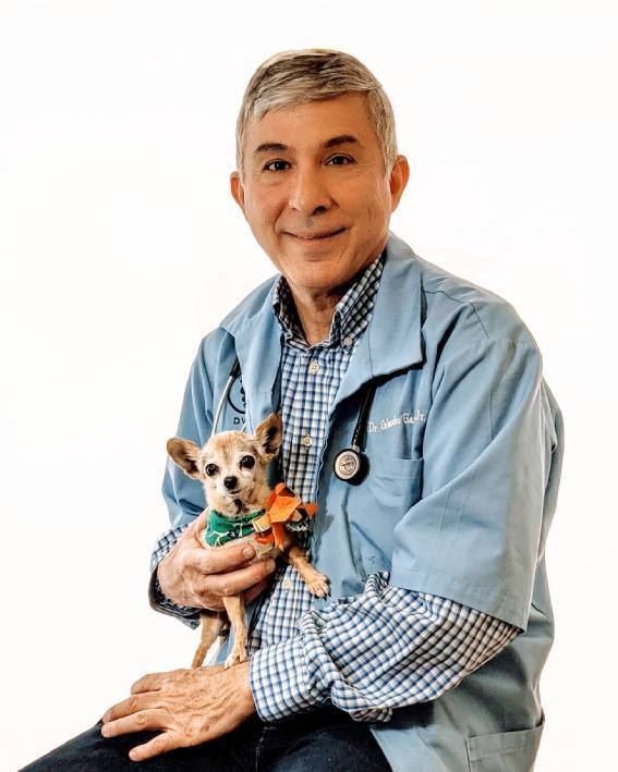 TopRated Veterinarian in El Paso, Texas East El Paso Animal Hospital