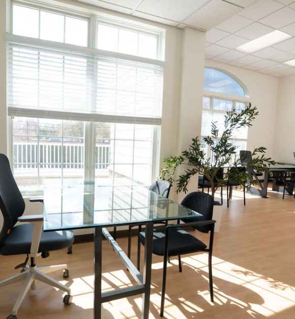 Small private meeting office with a woman and client seated at a desk, laptop open, framed wall art, and large window with garden view.