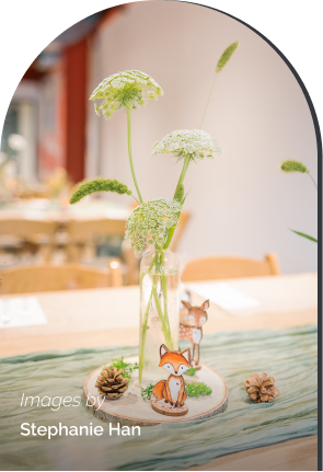 Beautiful plant on wood table