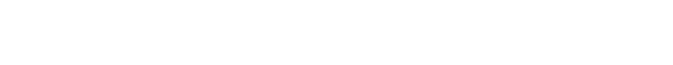 Bully Max