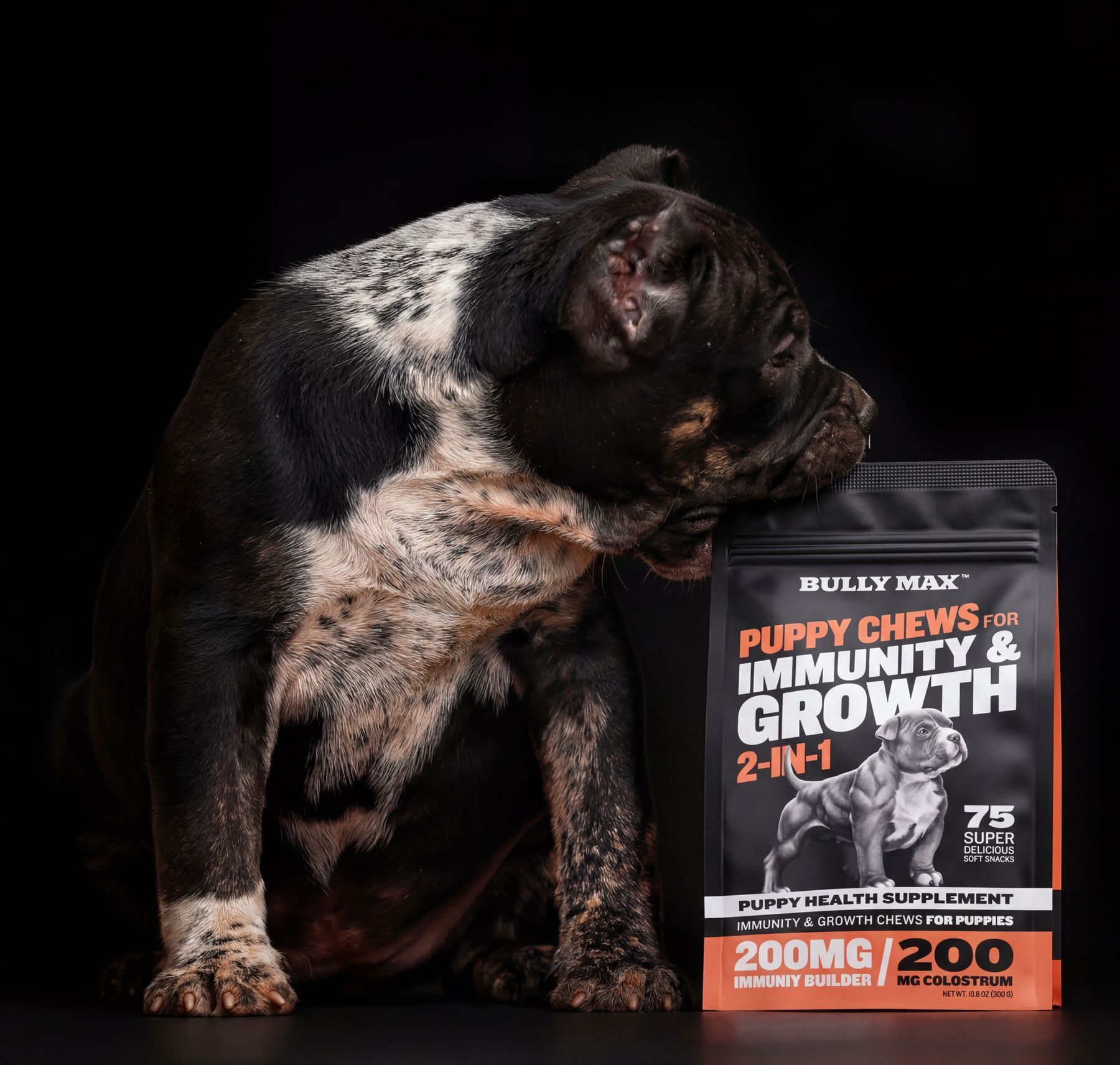 Merle and tri-color bully puppy resting its head on a bag of Bully Max Puppy Chews for Immunity & Growth 2-in-1, on a black background