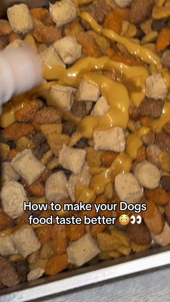 Bully Max kibble in a bowl with a peanut butter topper, caption: how to make your dog's food taste better