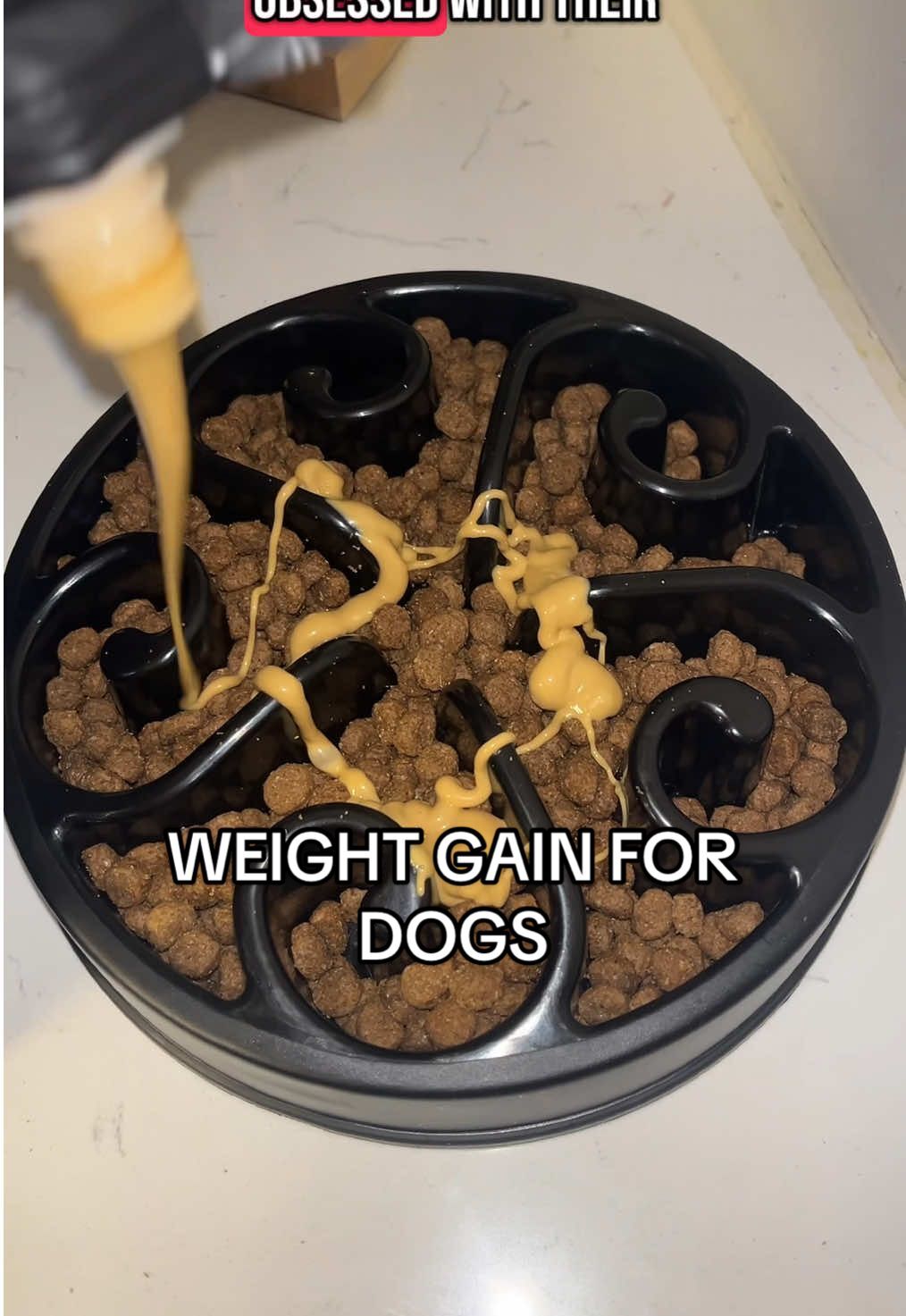 Liquid Weight Gain 2-in-1 poured over kibble in a slow-feeder bowl