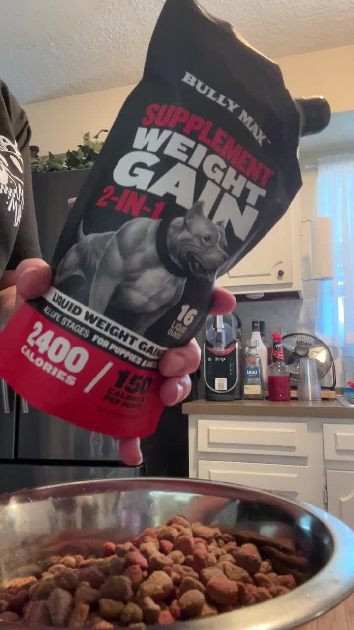 Owner holding a pouch of Bully Max Supplement Weight Gain 2-in-1 over a bowl of kibble in a kitchen