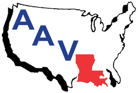 American Audio Visual