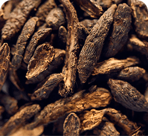 Cyperus seeds