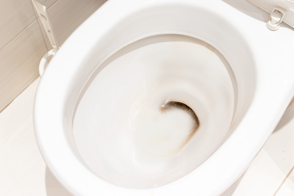 Trending Tech > Shine Bathroom