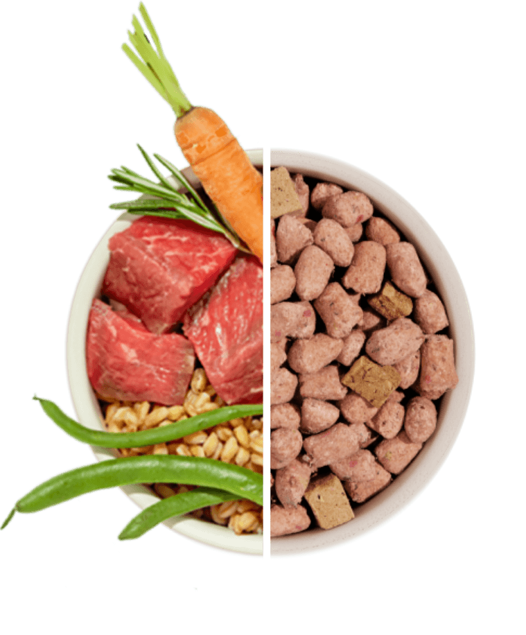 Meet UnKibble™: The Only Fresh-Dry Food For Dogs