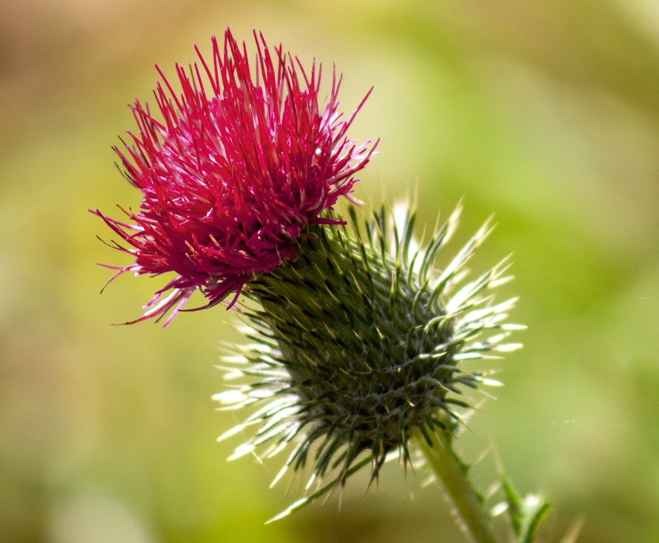 faq-your-meals-sustainability-meal-hacks-get-to-know-us-invite-your-friends