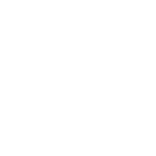 Experienced Guidance Icon