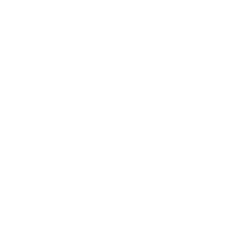 Guidance Icon