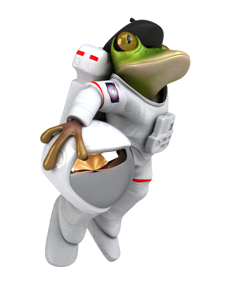 Frog Astronaut