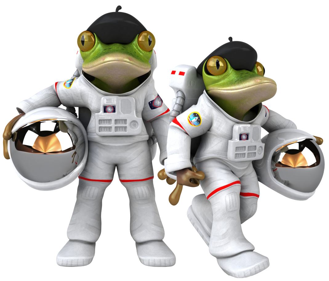 Frog Astronaut 1