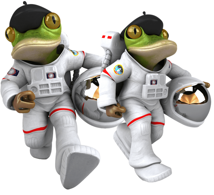 Frog Astronaut 1