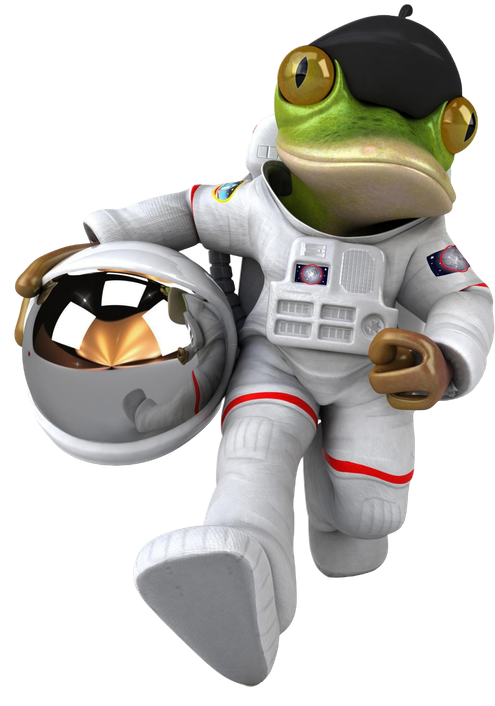 Frog Astronaut