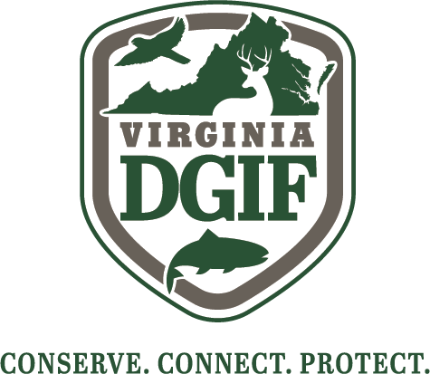 Virginia-Official Online Boater Safety Course