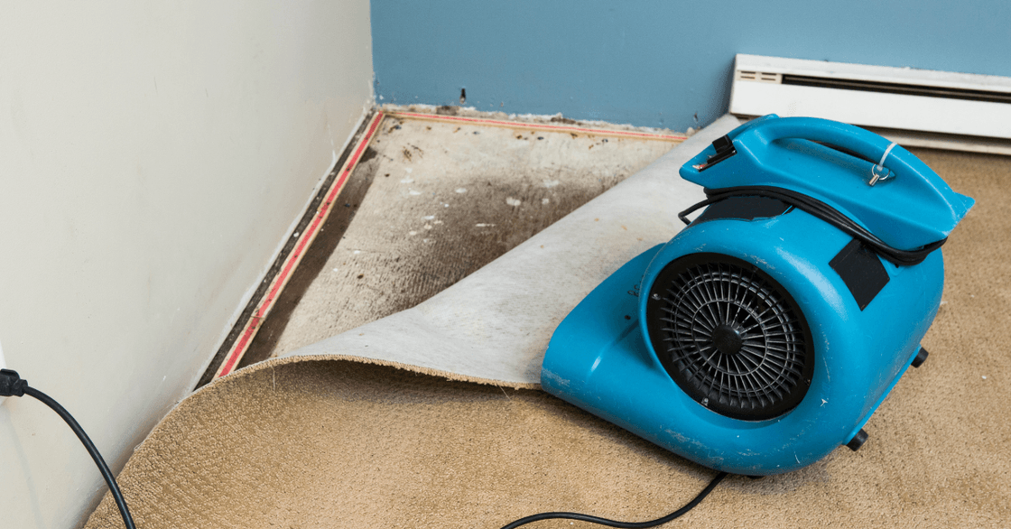 Structural Drying & Dehumidification