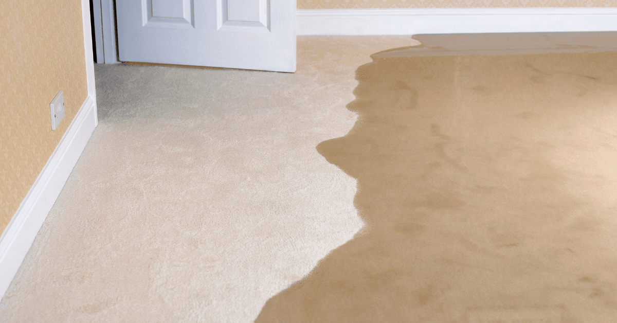 Flood Damage Cleanup