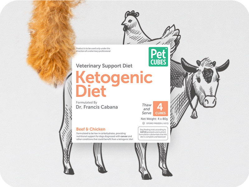 Ketogenic diet for cats best sale